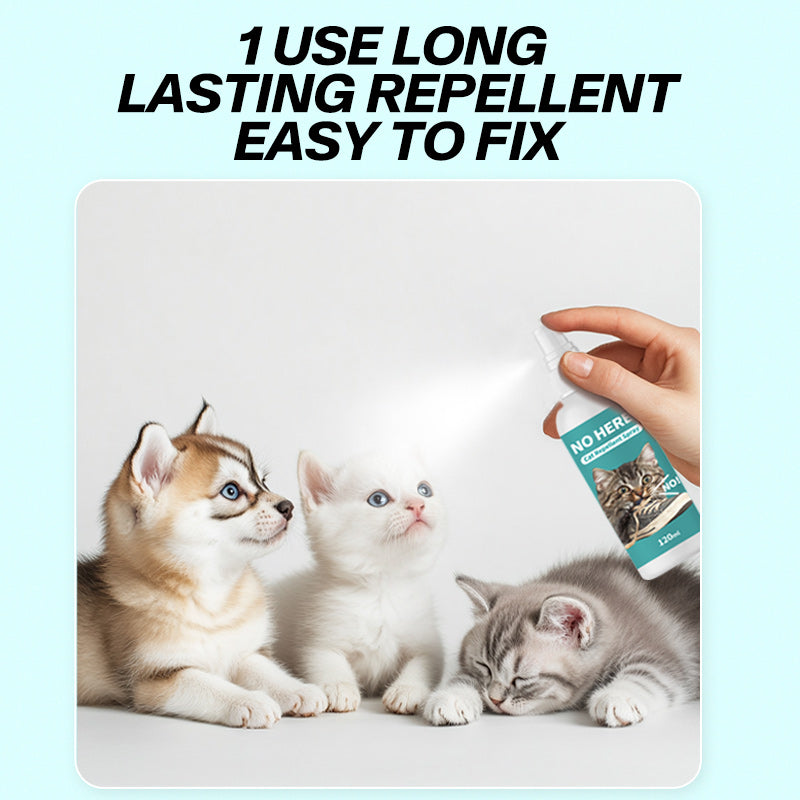 Pet No-Go Zone Spray