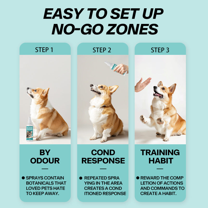 Pet No-Go Zone Spray