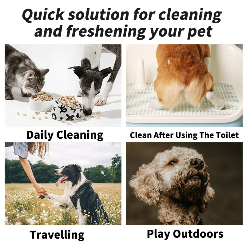 PawFresh Gentle Pet Wipes